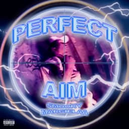 Perfect Aim